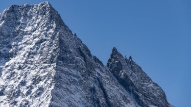 Watch Out for Potential BTC Double Top as Bulls Fail to Break $122K Again