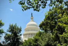 Wall Street Joins Consumer Advocates to Call for Edit to GENIUS Act on Stablecoins