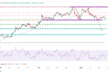 EUR/GBP Price Forecast: Testing key support at the 0.8600 area