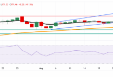 EUR/JPY Price Forecast: Falls to near 171.50 as bearish bias emerges