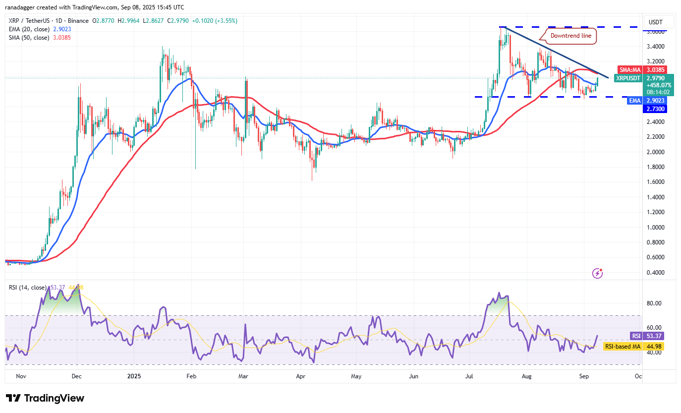 Dogecoin, Cryptocurrencies, Dollar, Bitcoin Price, XRP, Markets, Cryptocurrency Exchange, Cardano, Price Analysis, Binance Coin, Market Analysis, Ether Price, Solana, MicroStrategy, S&P 500, Whale, Michael Saylor