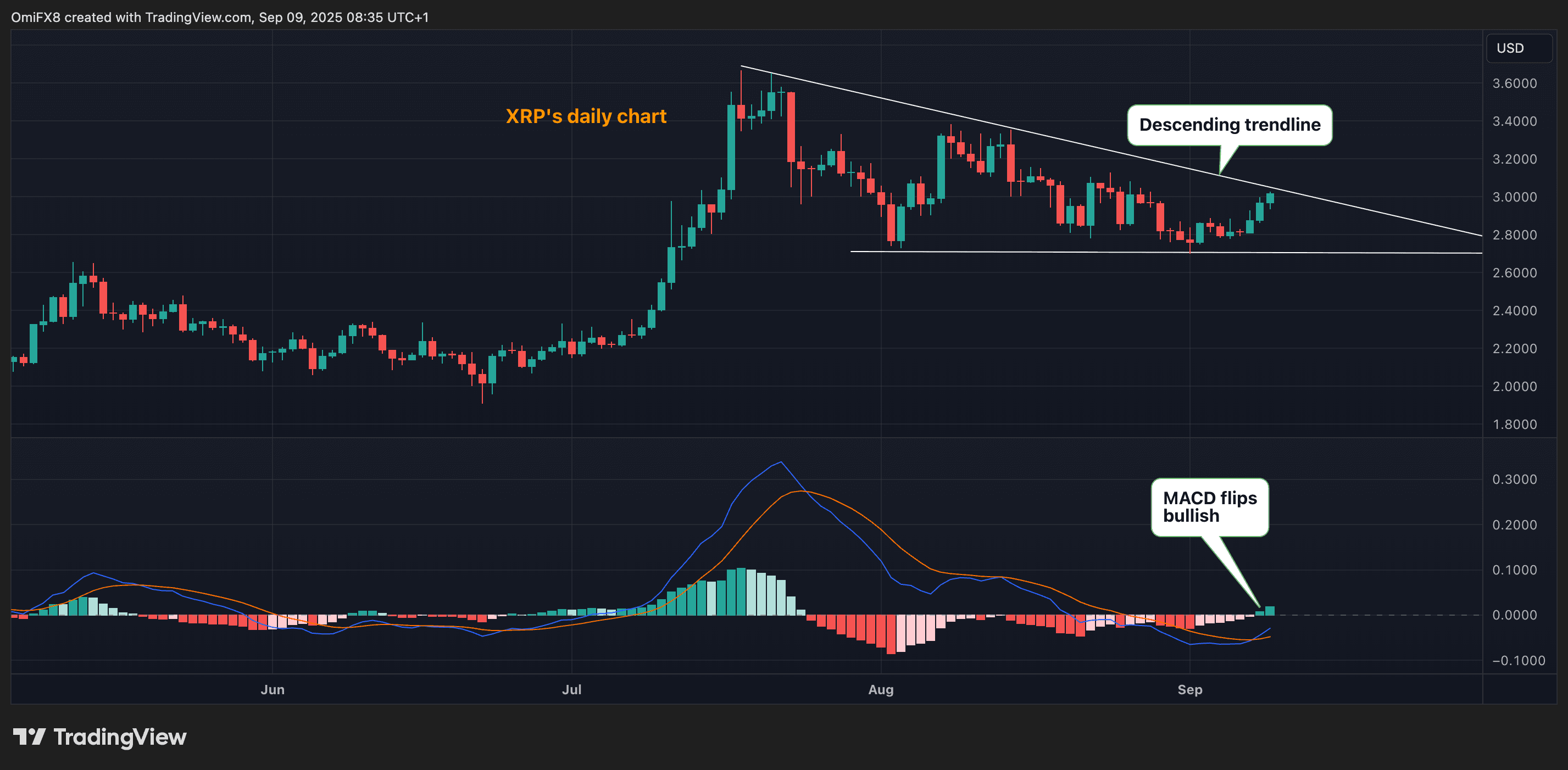 XRP's daily chart with descending trendline and MACD. (TradingView/CoinDesk)