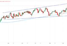 Australia FX Today: The Aussie hangs on to China's figures