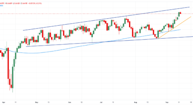 Australia FX Today: The Aussie hangs on to China's figures