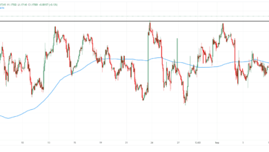 Germany FX Today: Euro shines before German Industrial Production