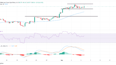 Silver consolidates near 14-year high as weak NFP data boosts Fed cut bets