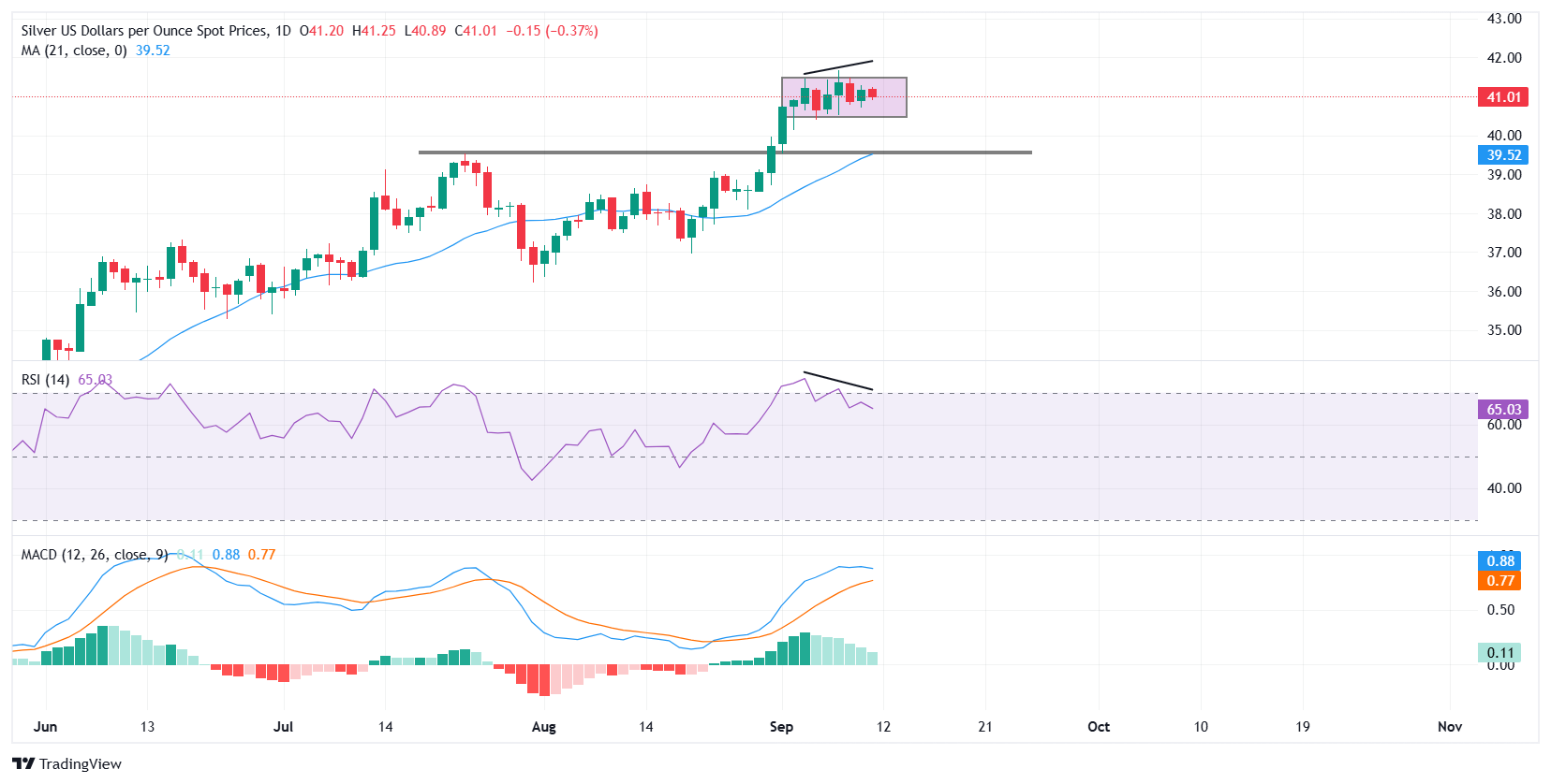 Silver Price Forecast: XAG/USD consolidates near $41.00 ahead of US CPI