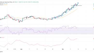 Gold clings to gains as soft US PPI cements Fed cut bets