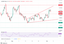EUR/GBP Price Forecast: The pair finds resistance above 0.8700