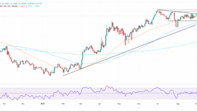 EUR/USD rebounds to 1.1680 as weak US data fuels Fed cut bets