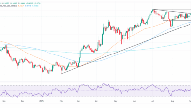 EUR/USD rebounds to 1.1660 as weak US data fuels Fed cut bets