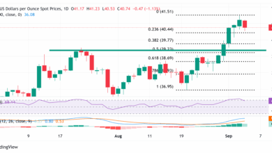 Silver Price Forecast: XAG/USD trades below $41.00 mark, down over 1% for the day