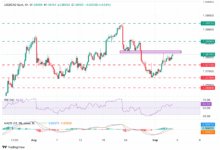 USD/CAD Price Forecast: Likely to find resistance at the 1.3825 area
