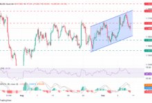 EUR/USD consolidates losses with markets awaiting US inflation figures