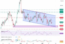 US Dollar Index (DXY) recovery loses steam at 97.80