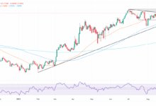 EUR/USD steadies as Fed rate cut bets firm amidst US labor market concerns