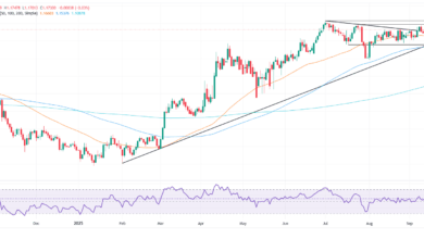 EUR/USD steadies as Fed rate cut bets firm amidst US labor market concerns